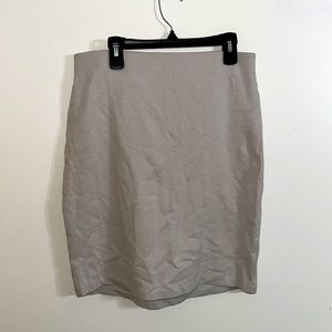 Gray Pencil Skirt with Gold Zipper